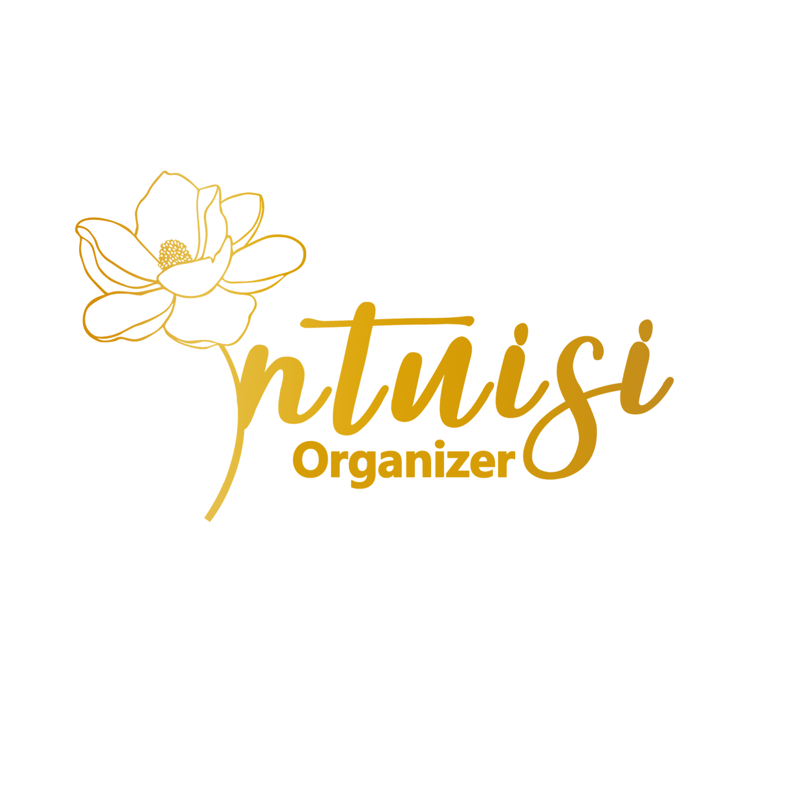 Foto Intuisi Organizer 20260517-1